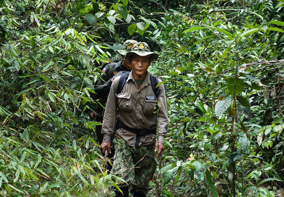 Cambodian Wildlife In Danger As Ecotourism Collapses Travel Asia Now