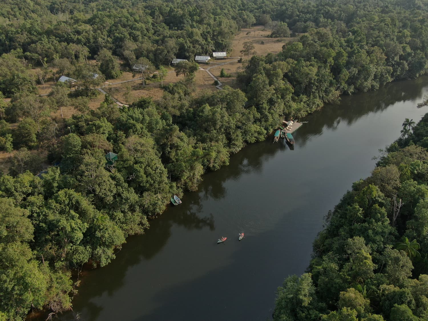 Sip and save the forest with Cardamom Tented Camp’s new conservation beer