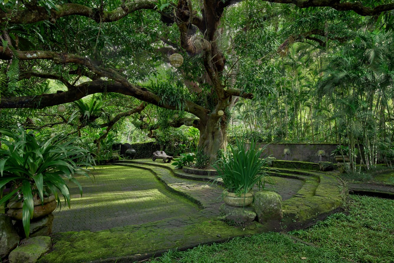 Under the 300-year-old mango tree: What The Farm at San Benito taught me about slowing down